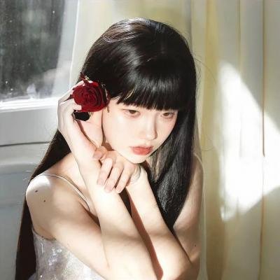 顽皮豹之怀念探长
